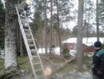 Tikkaat pystytettynä työmaalla puiden keskellä